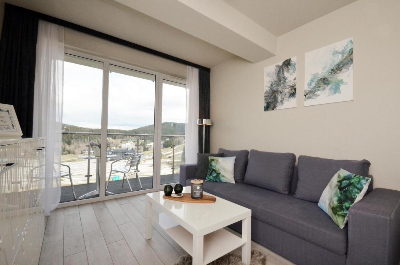 שייננה Apartamenty Biala Sowa Czarna Gora מראה חיצוני תמונה